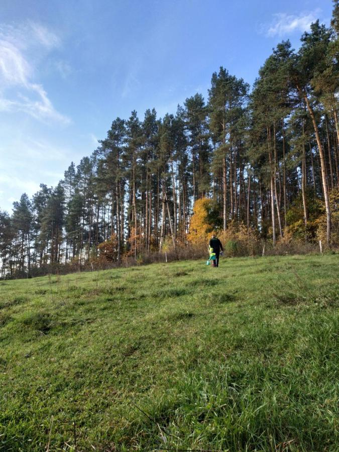 Domki Nad Jeziorem - Zalesie 7D Zalesie (Olsztyn) ภายนอก รูปภาพ