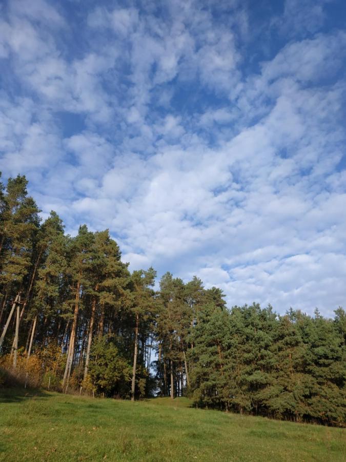 Domki Nad Jeziorem - Zalesie 7D Zalesie (Olsztyn) ภายนอก รูปภาพ
