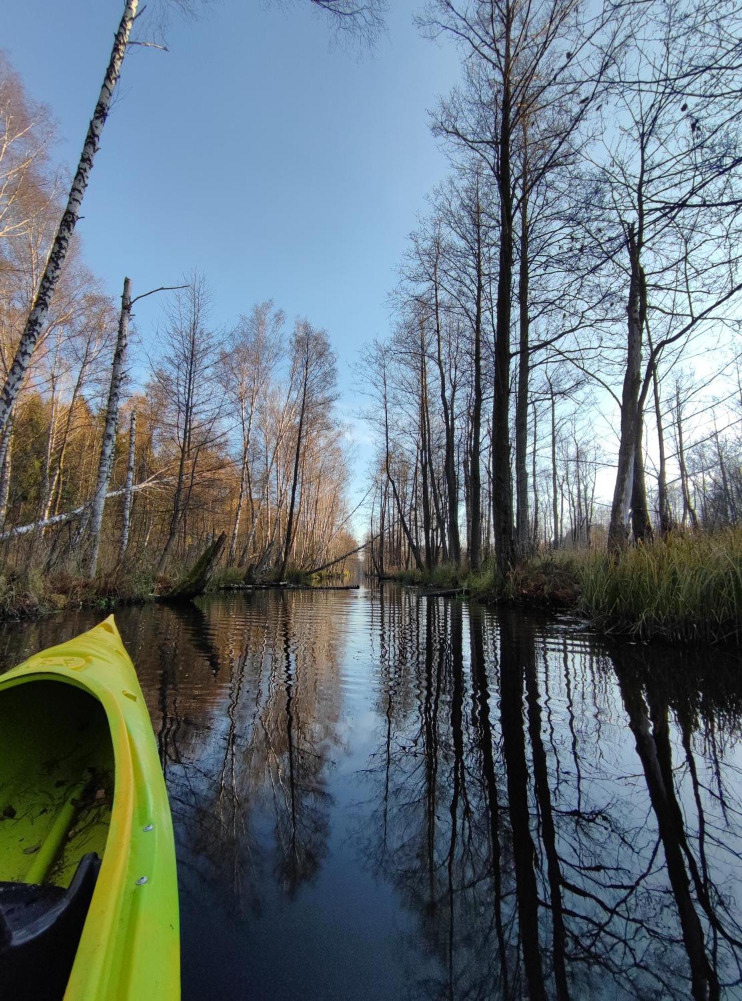 Domki Nad Jeziorem - Zalesie 7D Zalesie (Olsztyn) ภายนอก รูปภาพ